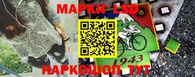 шишки Лесосибирск