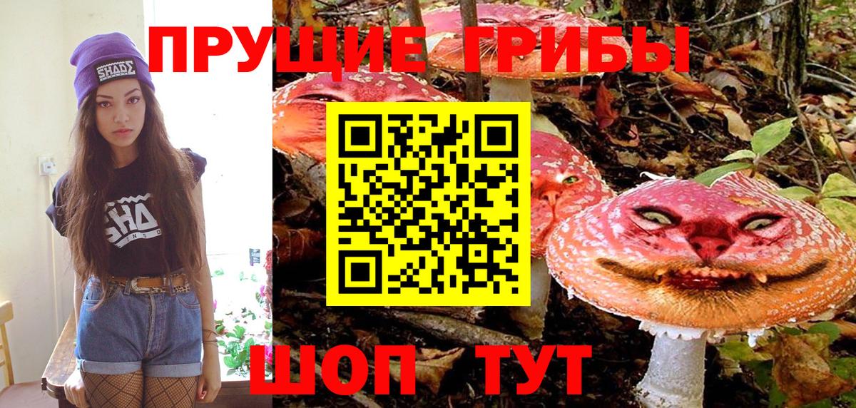 Галлюциногенные грибы прущие грибы  Вход с VPN  Добрянка 