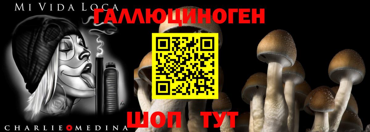 Псилоцибиновые грибы мухоморы Добрянка